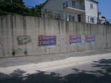 P9030519