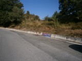 P9040659