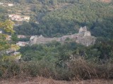 P9050852