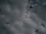 P9062127