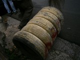 P7300157